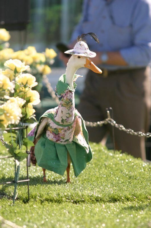 That’s it. Fuck this. I’m tweeting ducks wearing clothes from now on.