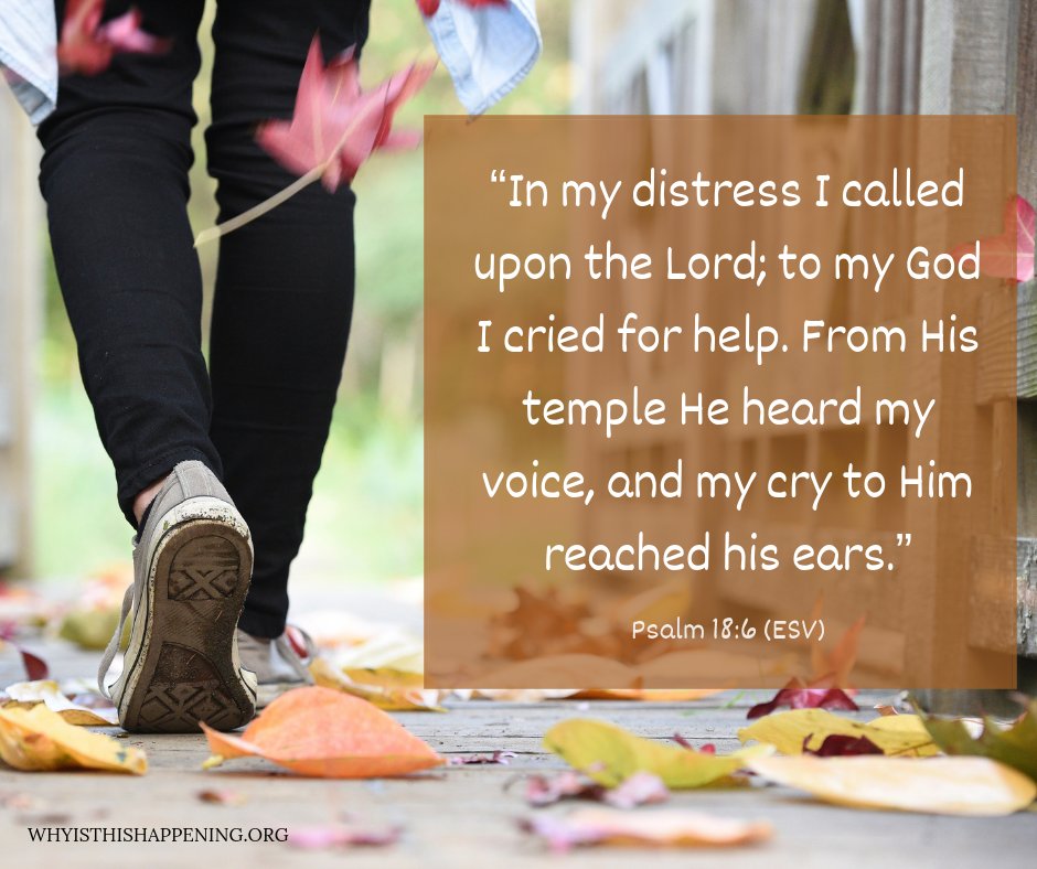 PeopleStoryGod's tweet photo. “In my distress I called upon the LORD; to my God I cried for help. From his temple he heard my voice, and my cry to him reached his ears.” ~ Psalm 18:6 (ESV)
#withGOD #whyisthishappening #callonHISname #cryouttoJesus
https://t.co/moDndDqTNn https://t.co/67Ww9aydcN