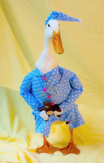 That’s it. Fuck this. I’m tweeting ducks wearing clothes from now on.