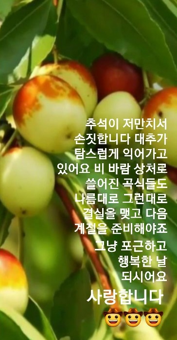 choibd007's tweet image. 