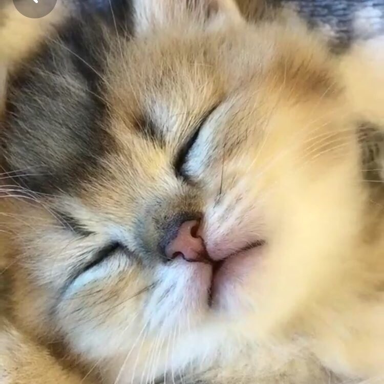 woniebun's tweet image. cry with me