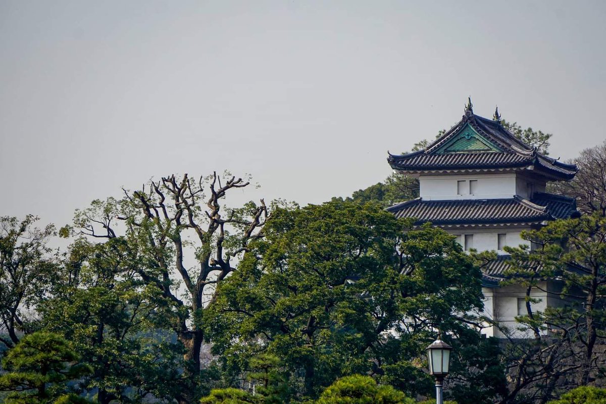 👁️ - The abundance of large trees
👃🏾 - That smell right before it rains
👂🏾 - Birds chirping behind me
✋🏾 - The warm cup in my hand
👅 - My homemade green tea

#My5SensesExperience #BeMindfulExperienceDifferently #Senses #Relax #Mindfulness