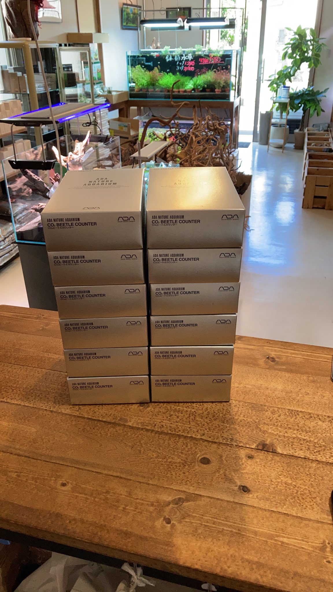 ADA BEETLE COUNTER 初回限定版 ビートルカウンター ADA BEETLE COUNTER 初回限定版 ビートルカウンター ADA ビートル