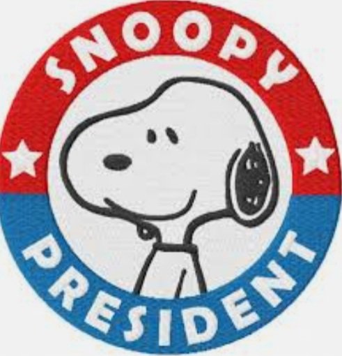 ReloBridget's tweet photo. My reaction after watching the #PresidentialDebate  #snoopyforpresident #Snoopy https://t.co/42Q13VOiKp