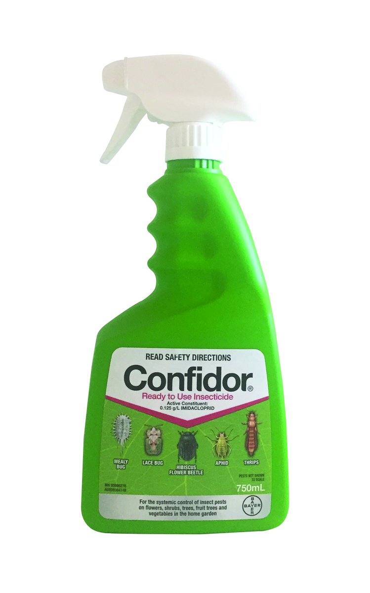 EnvuPestANZ's tweet photo. Did you know? Confidor Ready to Use Insecticide for home garden use is available to purchase from The NILE store at https://t.co/f4fxeHRJpR 
#gardening #pests #insects #confidor https://t.co/koFP96Nx1P