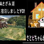 ツイートに含まれる画像