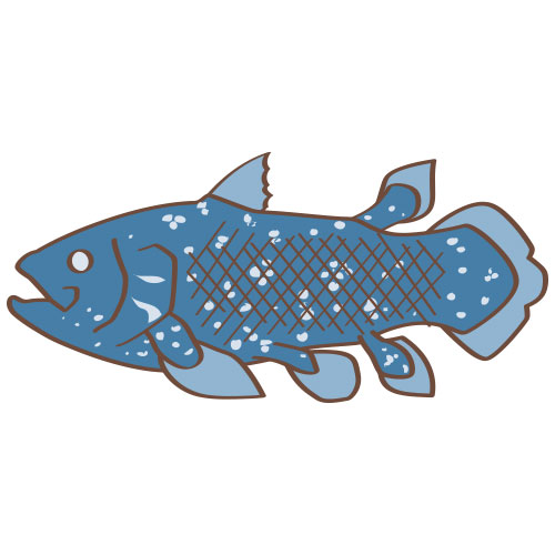 Twitter 上的 イラスト星人 調査報告552 魚 シーラカンス T Co 6wyb5igo2k 空棘魚 生きた化石 イラスト フリー素材 こども園 無料 子供 こども 生物 生き物 魚類 魚 シーラカンス T Co Sodere1oee Twitter