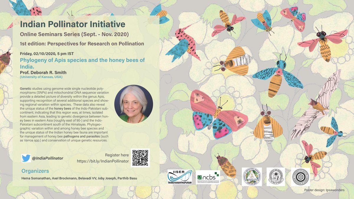 The Indian Pollinator Initiative tweet media