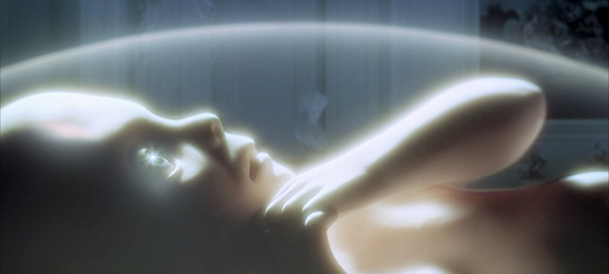 Phenomena Experience tweet media