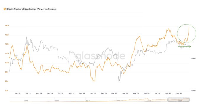 Bitcoin Forms “Obviously Bullish” Divergence as User Count Spikes