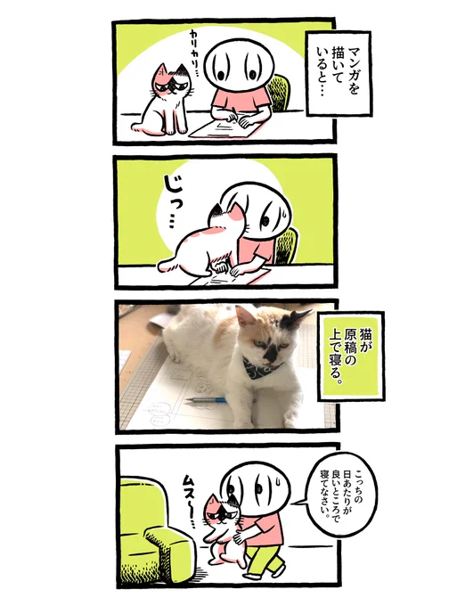 【22】ヨボヨボの迷い猫を保護したら…
猫は漫画家の健康に良い(ただし原稿は、遅れる) 