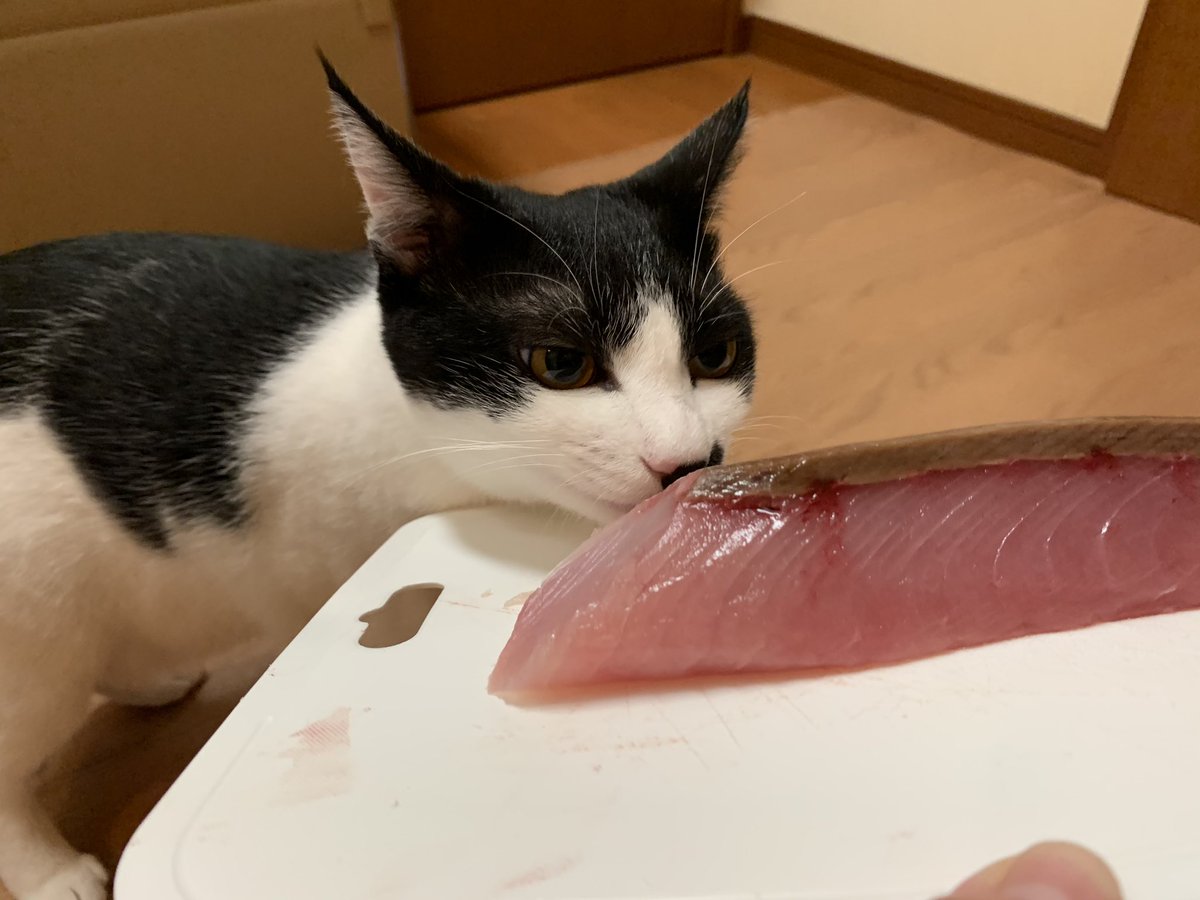 ブリカマぶるーす ブリカマぶるーす