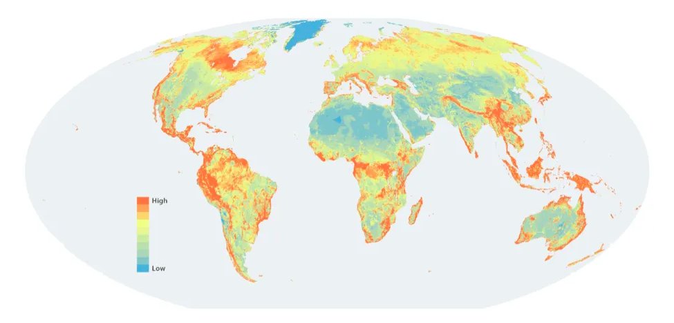 unepwcmc's tweet image. #DidYouKnow?

#NatureMap offers freely available global maps of terrestrial biodiversity, carbon stocks and water supply, designed to support governments in policy design. 🗺️

➡️ Learn more: ow.ly/xC9f50BFcXC