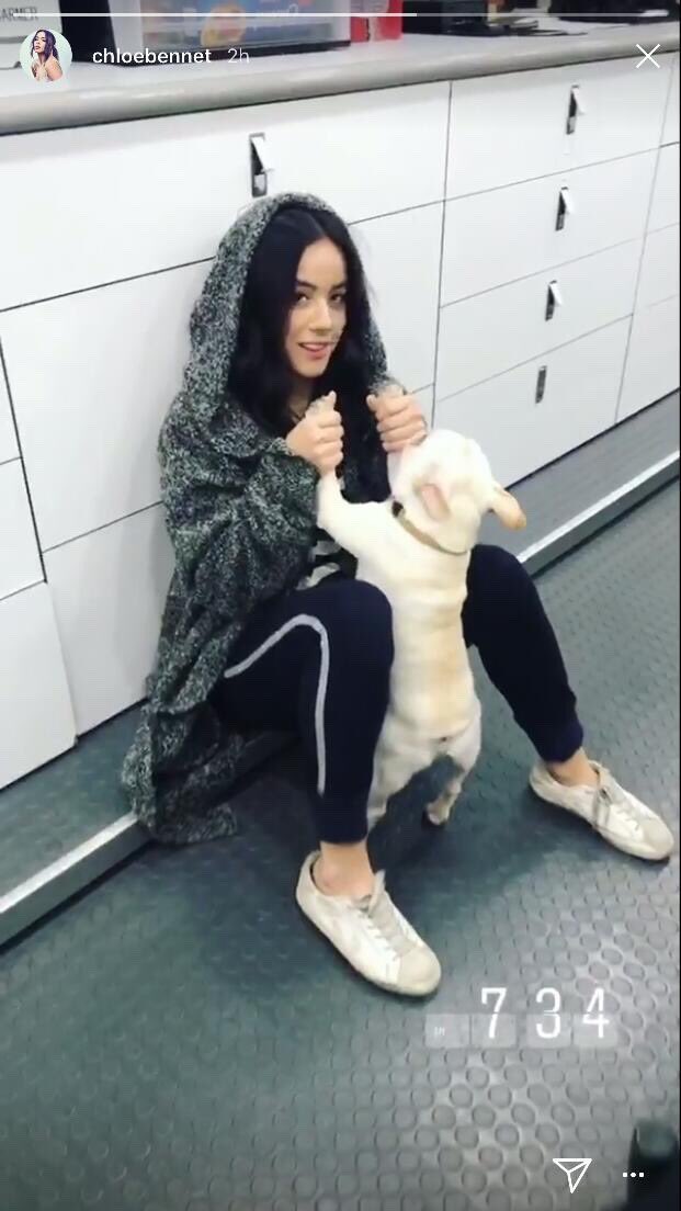 smiling/dorky/soft  @chloebennet pics to make you smile. a thread: