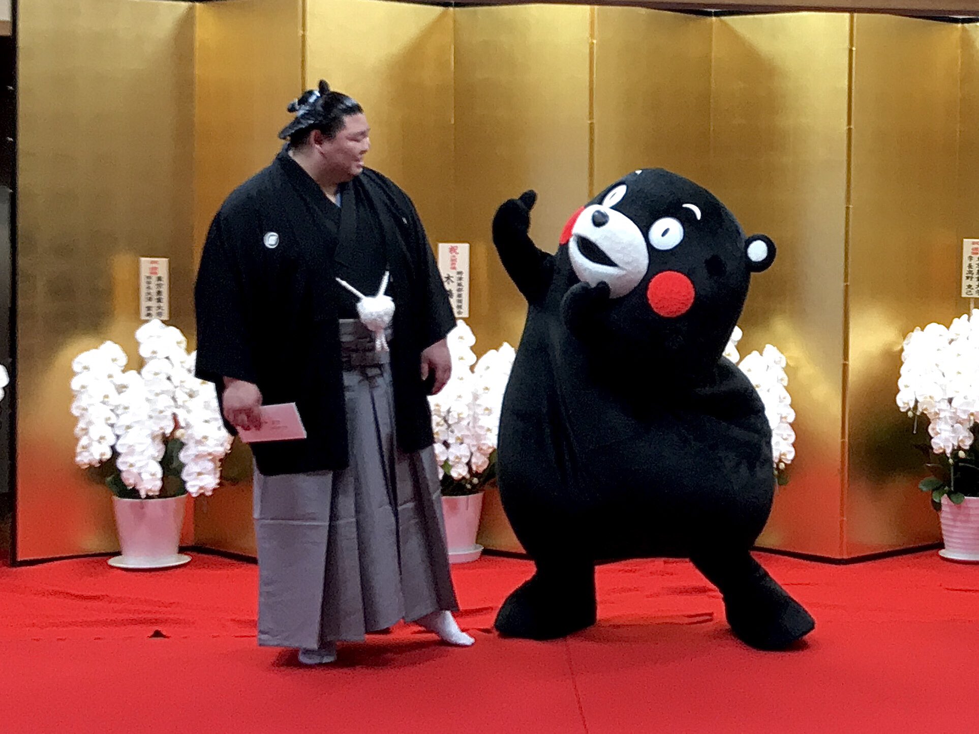 大相撲　正代関　くまモン　反物　一反 相撲大好き on X: 