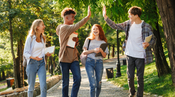 HeadMelkshamOak's tweet photo. At our sixth form, we provide support to help every student applying for university have the best possible chance of getting the offers they are looking for. Learn more about the process here: 
https://t.co/5z3yib63Df https://t.co/oxPxnjRQyf