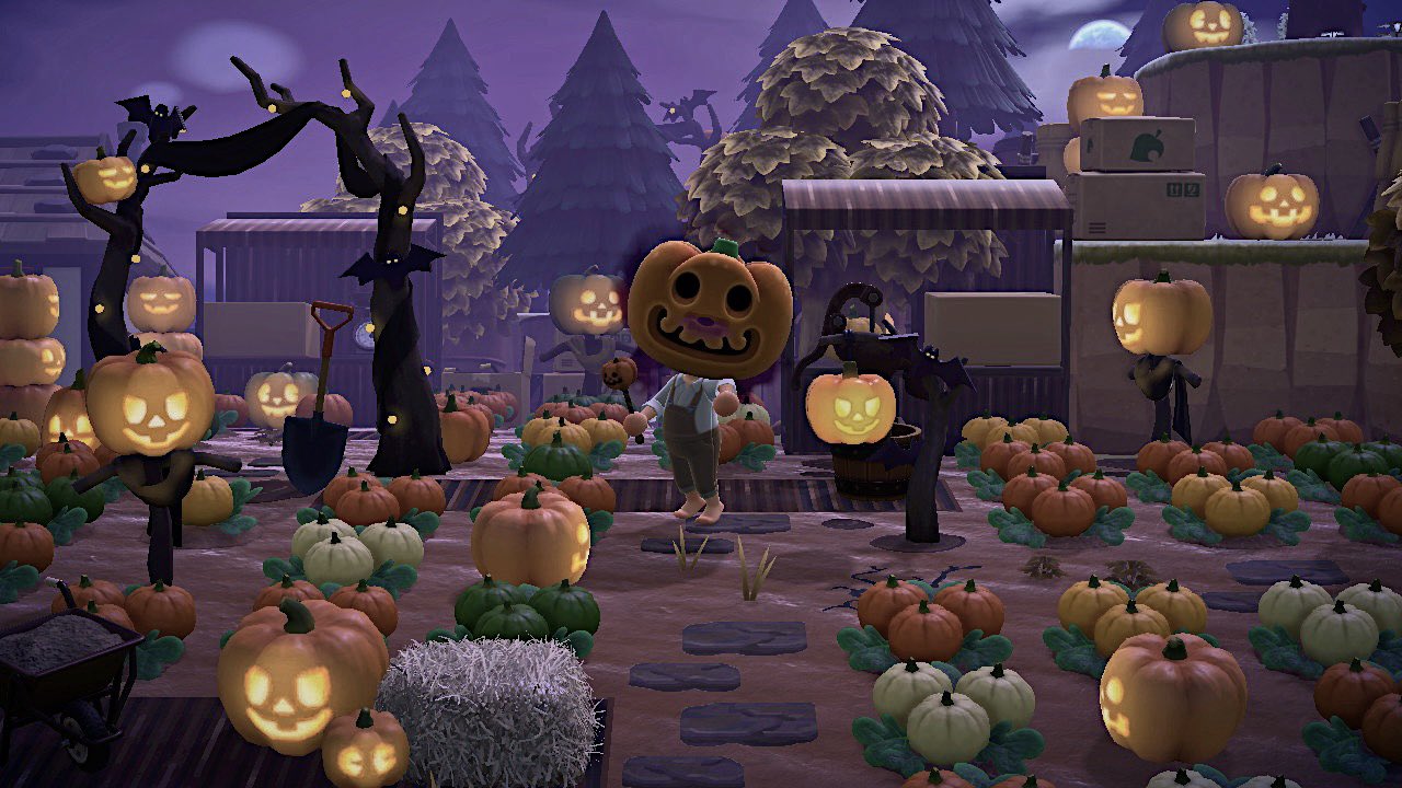 りゅう かぼちゃ畑 あつ森 Acnh Animalcrossing りゅう かぼちゃ畑 あつ森 Acnh Animalcrossing