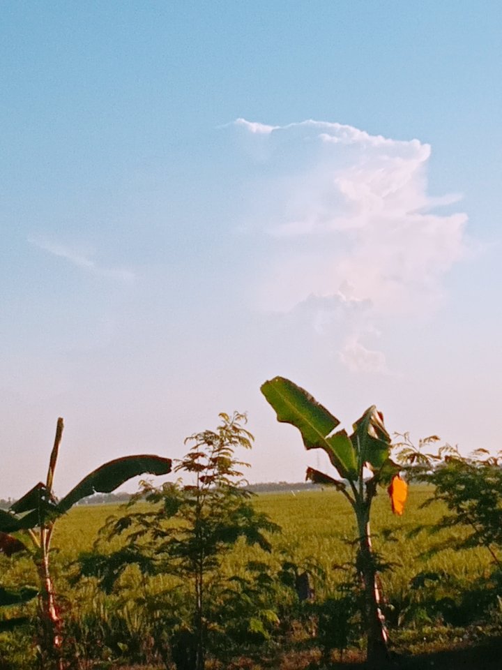 Awan ko berbentuk seperti gunung meletus ya... Semoga aja ga ada bencana lagi aminn...
#staysave https://t.co/xy8lLoj9yY