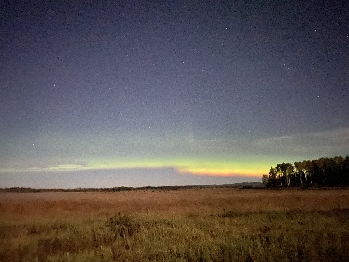 After weeks of cloudy skies and aurora alerts, the two finally coincided. Taken just now, north of #CityofPG #NorthernLights #AuroraBorealis