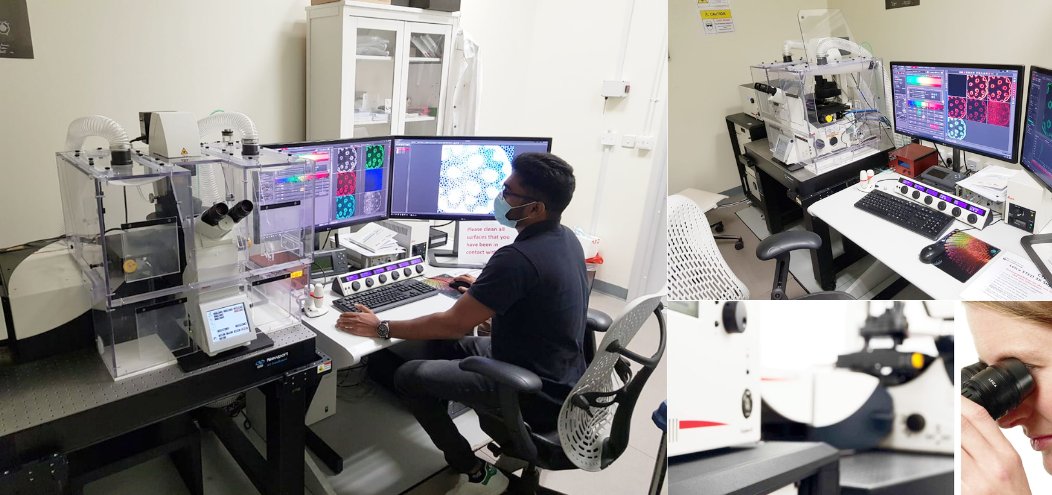 Lab Technologies Group tweet media