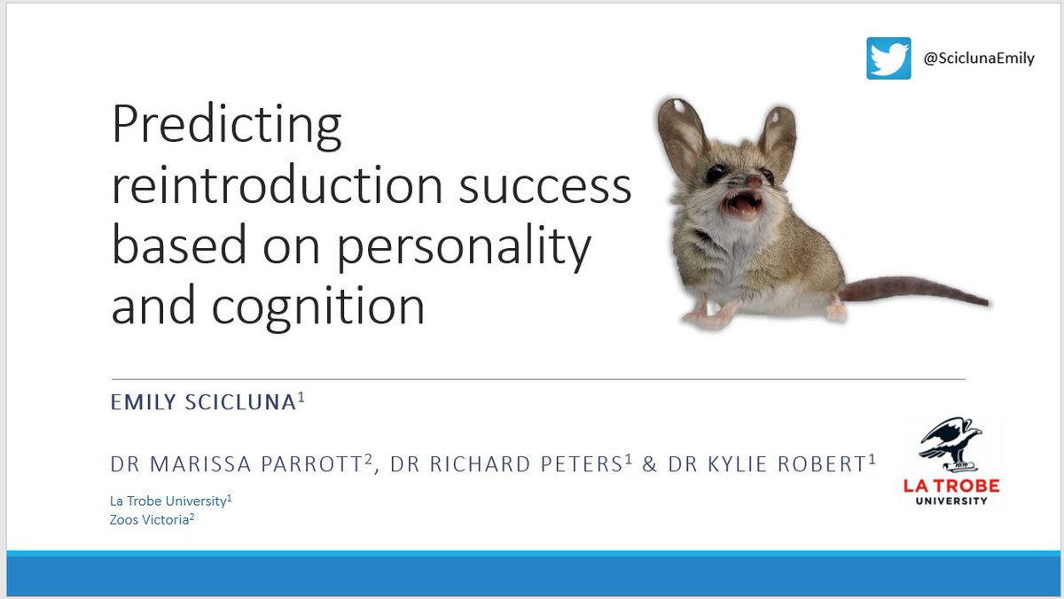Looking forward to my Australasian Society of the Study of Animal Behaviour (ASSAB) @AnimBehav online Conference presentation Friday! The dunnarts and I will see you there! #behaviour #cognition #conservation #WomenInSTEM #reintroductionbiology #fattaileddunnarts #personality