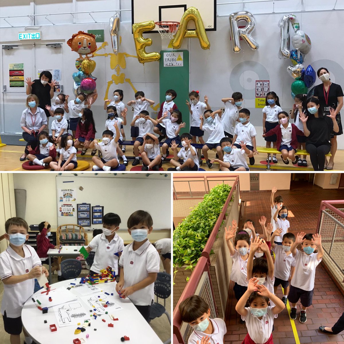 CIS 漢基國際學校 tweet media