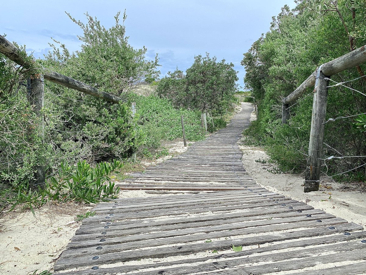 PaulJurak's tweet photo. My favourite kind of pathway
#zenithbeach #portstephens #Australia https://t.co/U47C6jkXnL