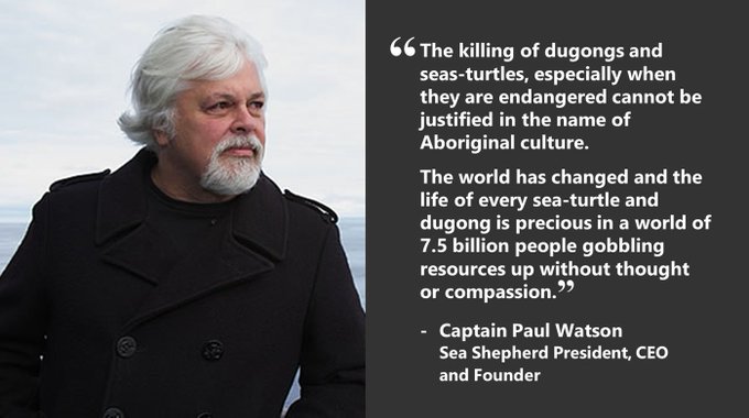 Protect Australia S Dugong And Turtle Dugongturtleaus Twitter