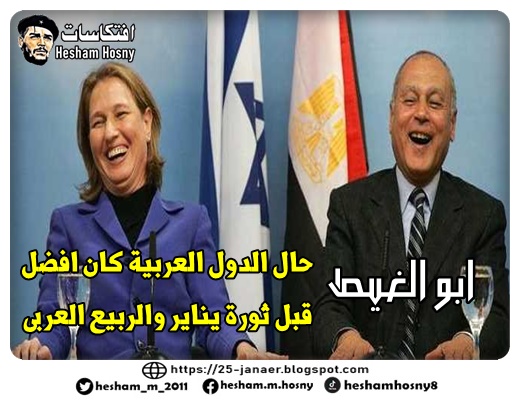 أبو الغيط   حال الدول العربية كان افضل قبل ثورة يناير والربيع العربى