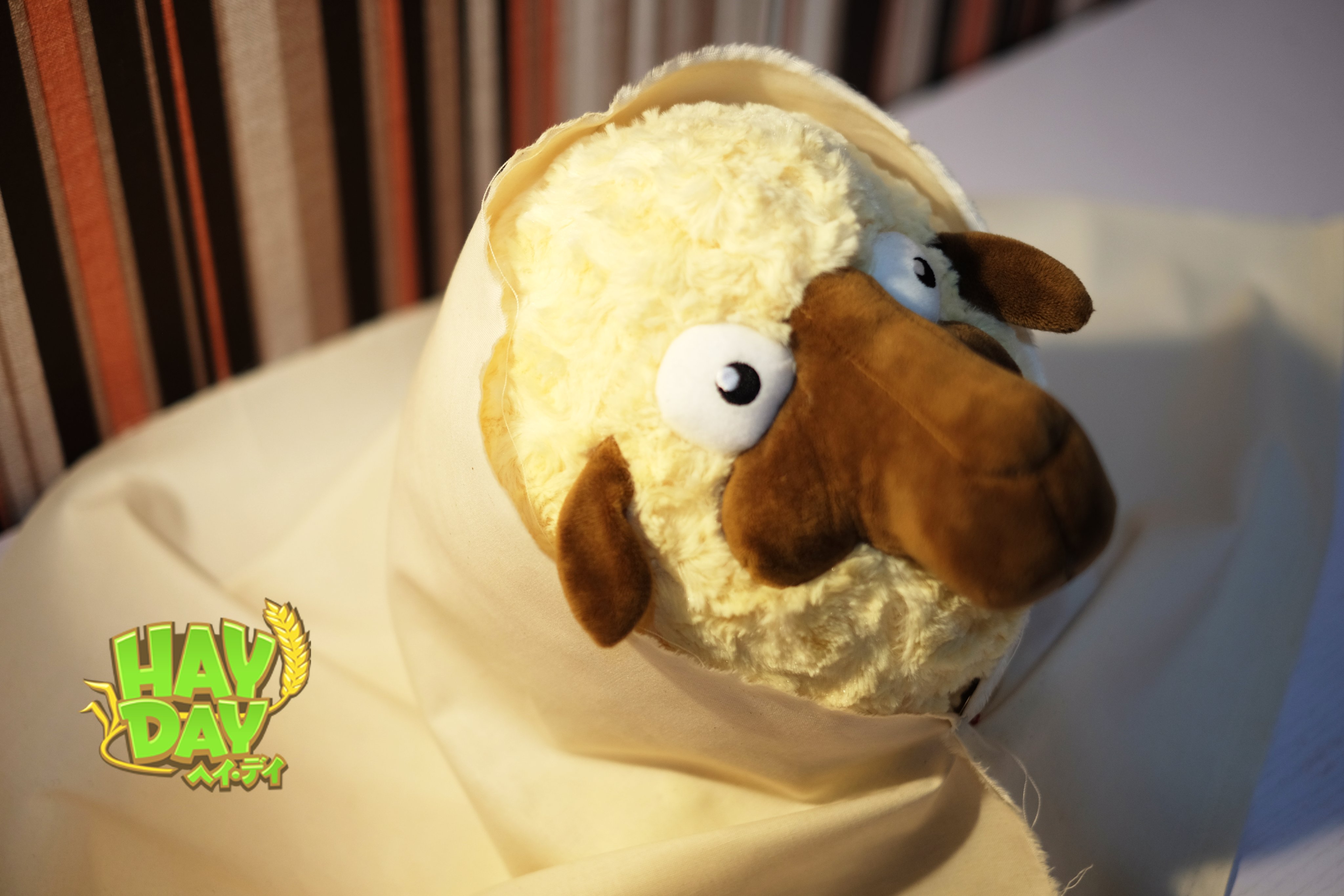 HAYDAY ヘイデイ 羊 ひつじ ぬいぐるみ 新品