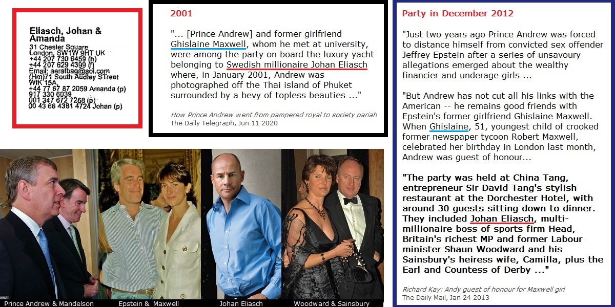 ➎➎ Johan EliaschPals with Ghislaine, Evelyn Rothschild, Hannah Rothschild, Naomi Campbell, Shaun Woodward, Camilla SainsburyClose to Prince Andrew & was involved in Duke's Pitch@Palace Global LtdEx Tory Party dep treasurer under Lord Magan & Special Adviser to Hague & IDS