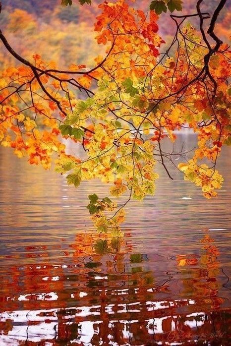 salih453226's tweet photo. The season is the season where peace and happiness is stored https://t.co/AyEa2aL9G2