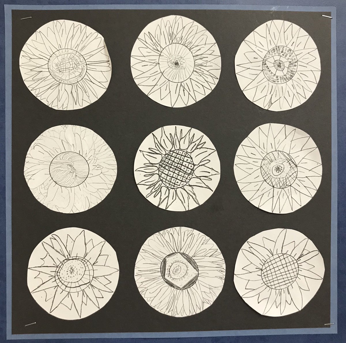 MeerkatsClass's tweet photo. Stunning sunflower sketching! https://t.co/ApFb0gf4PC