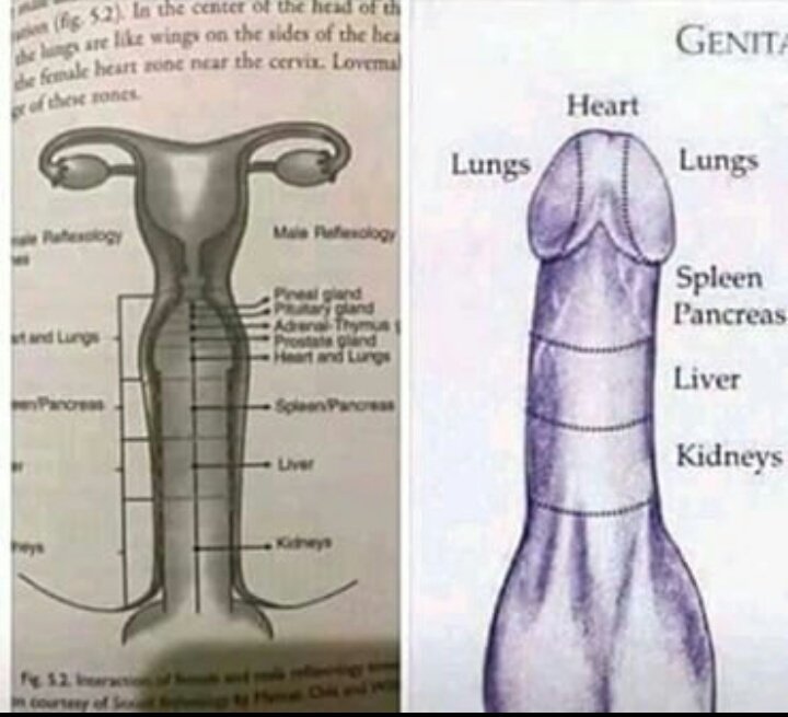 Good sex can make u fall in love since d heart chakras are connected to the genitals. This is a more reason one should desist from what sister  @Marian_Adewole called "casual sex" for such meaningless act can deplete one's life-force thereby causing severe damage in the  chakra.