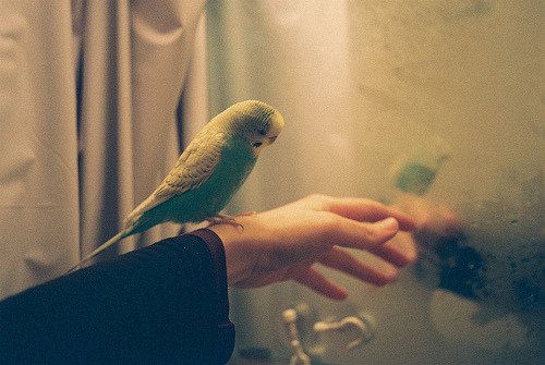 Unutmaya çalışmak ne kadar da külfetli.