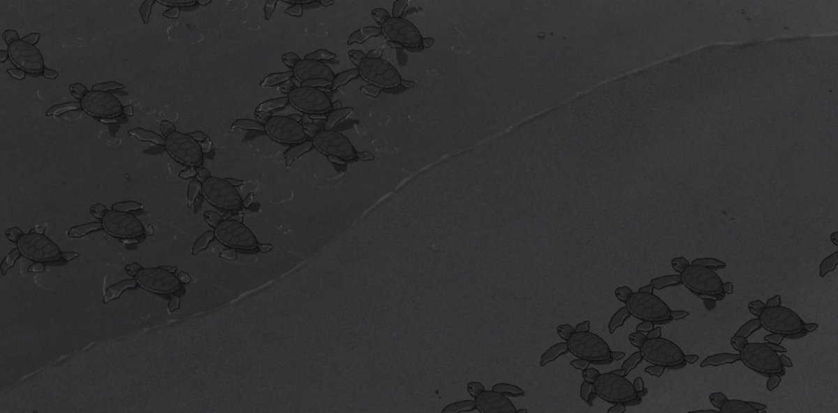 commandshift_3's tweet image. the red turtle (2016)
michael dudok de wit