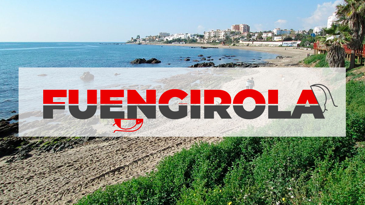 plagiser's tweet image. Las cucarachas y los roedores son una de las plagas más frecuentes en municipios como Fuengirola y la lucha contra ellas se desarrolla año tras año.
➡️plagiser.com/es/blog-plagis…⬅️