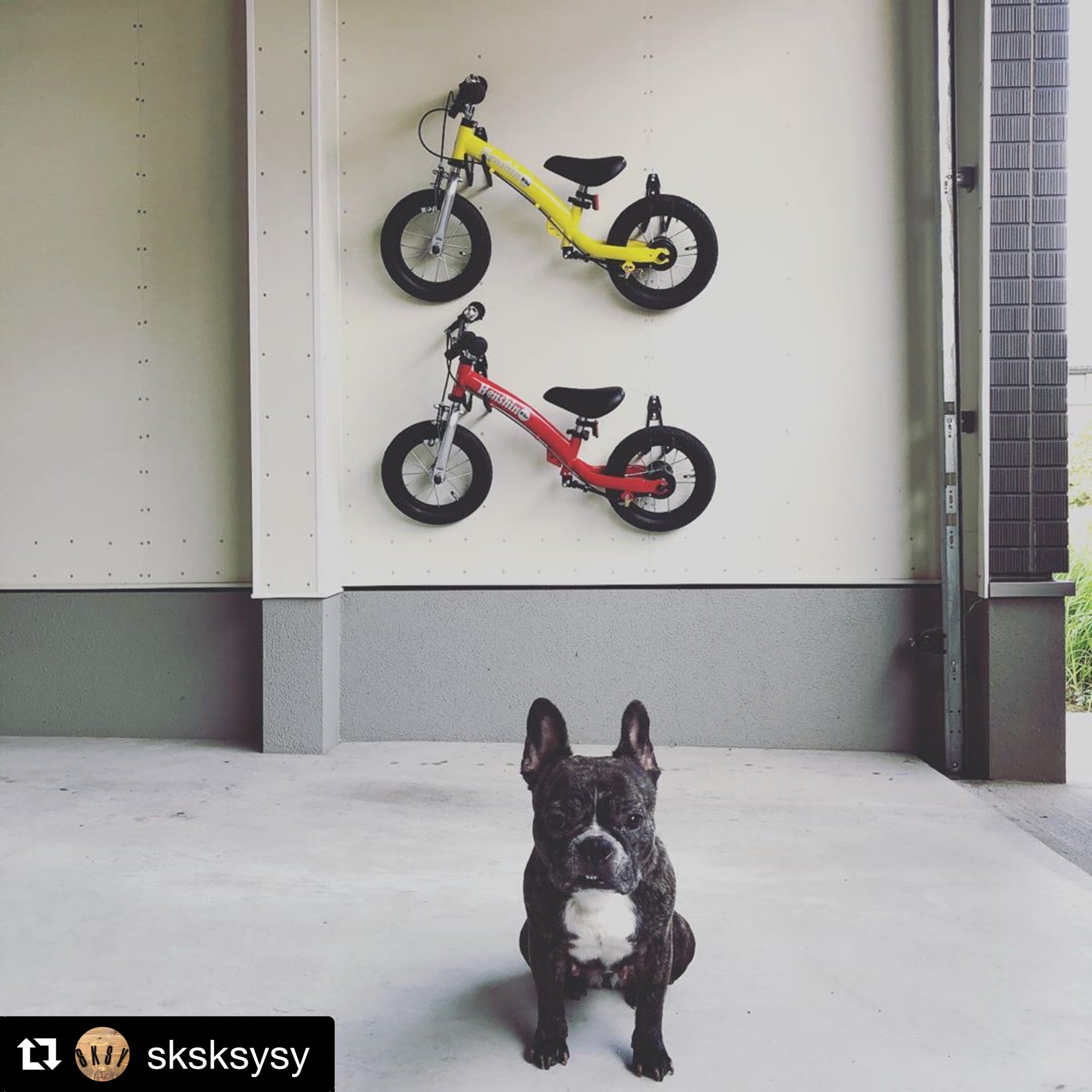 室内保管 へんしんバイク へんしんバイク イエロー 12インチ 室内保管