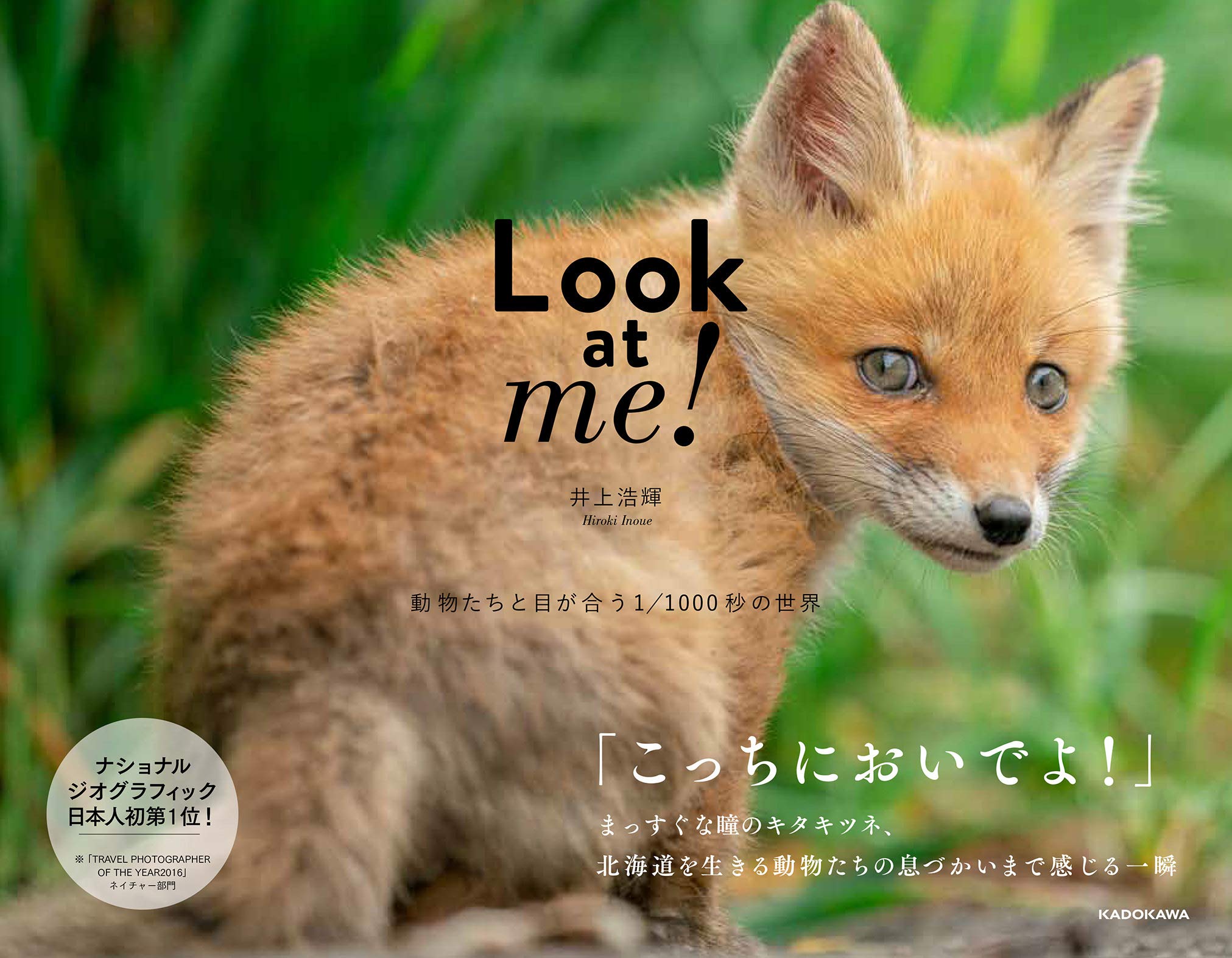 Hiroki Inoue 写真家 井上浩輝 در توییتر 写真集のお知らせ 11月 Kadokawaさんから2冊目の写真集が発売されます Look At Me 動物たちと目が合う1 1000秒の世界 T Co 4ls8vvk85p 今年の春に撮影していた子ぎつねたちの姿 そして今回はキタキツネ