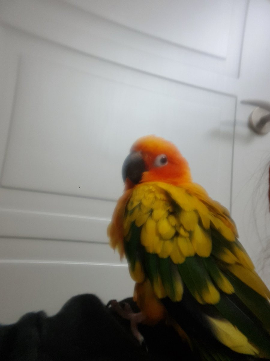 우리 송이 언능 낫자!🙏

모두 즐거운 한가위 되세요~🙇‍♀️