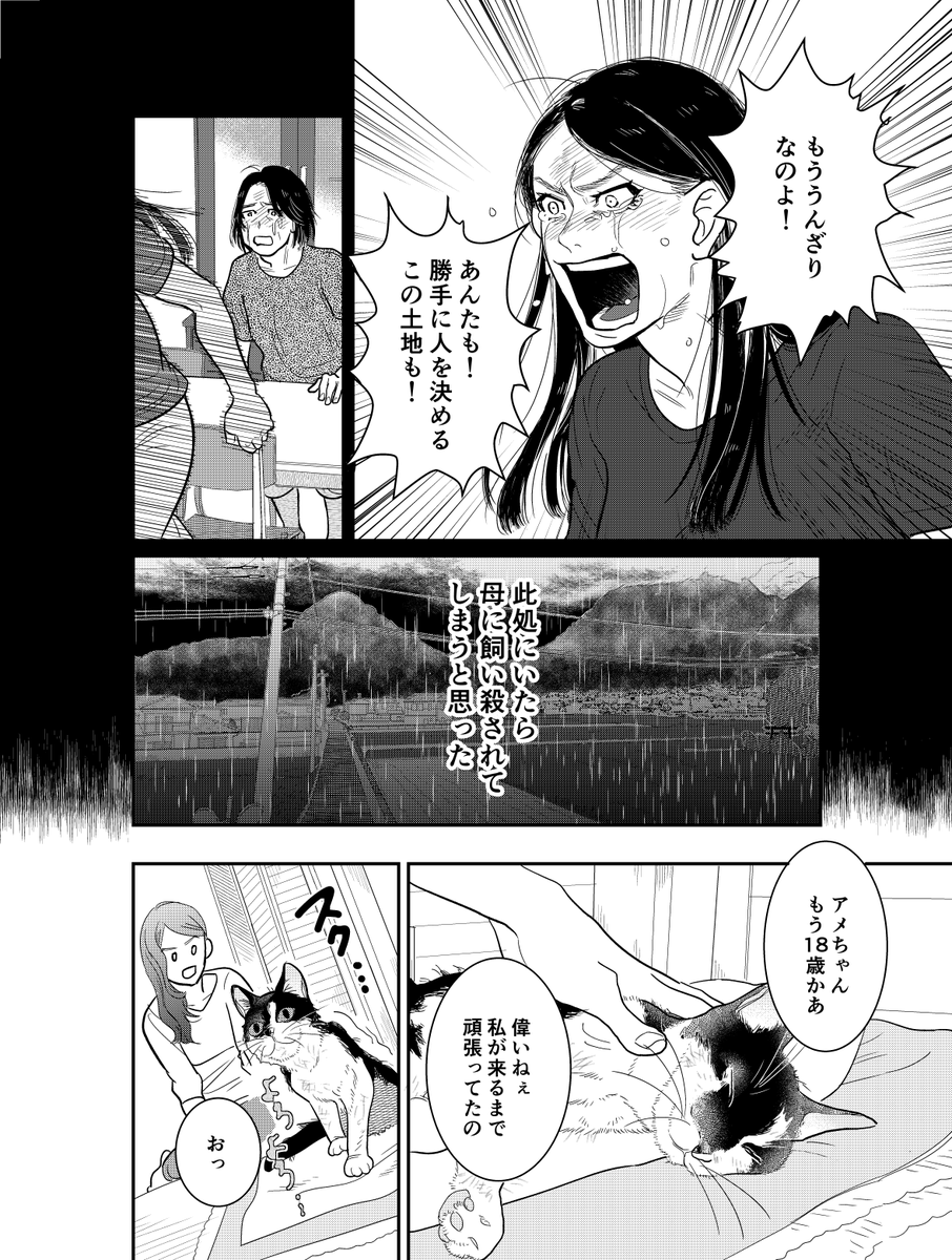 母親を捨てる為に里帰りした娘の話(3/8) 