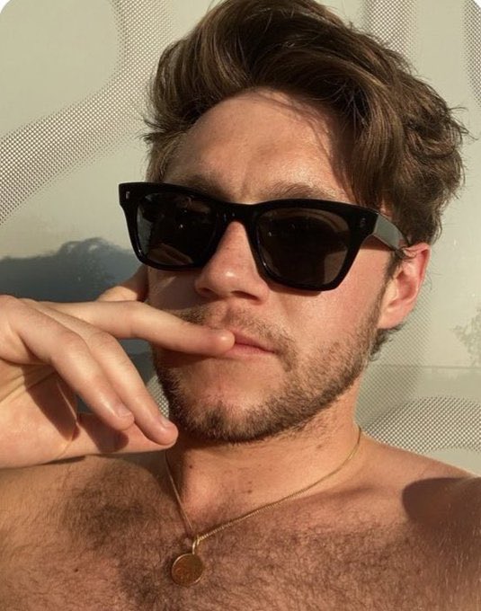 shirtless niall horan thirst traps;a much needed thread - ot5 