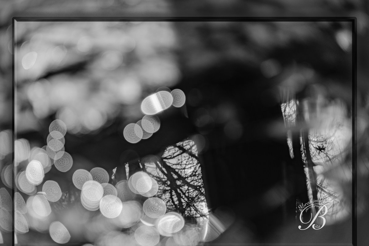 EbrahimiaslBita's tweet photo. Black and white. B &amp; W
https://t.co/X7022HJfDe
#b&amp;w #blackandwhite  #photography #b&amp;wphotography #Black #White #tree #shadowtree #blach_white #B_W https://t.co/4UfIxBEqQN