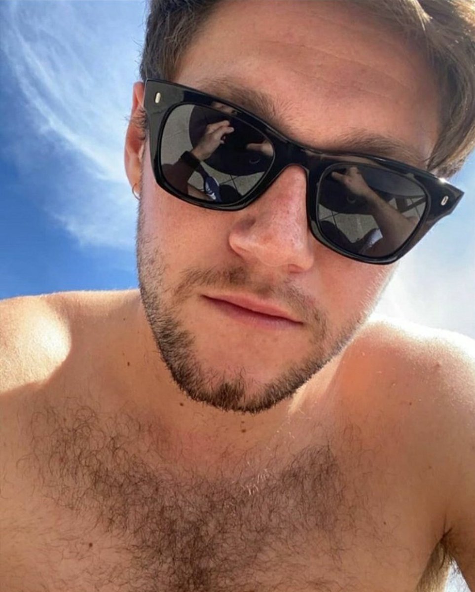 shirtless niall horan thirst traps;a much needed thread - ot5 