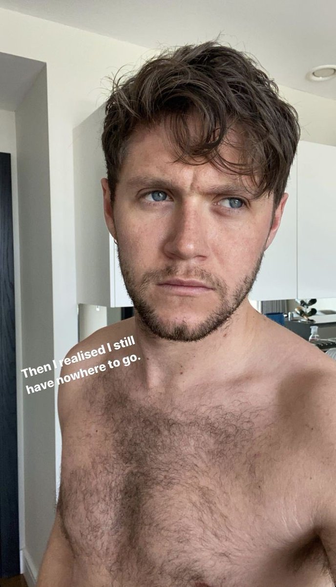 shirtless niall horan thirst traps;a much needed thread - ot5 