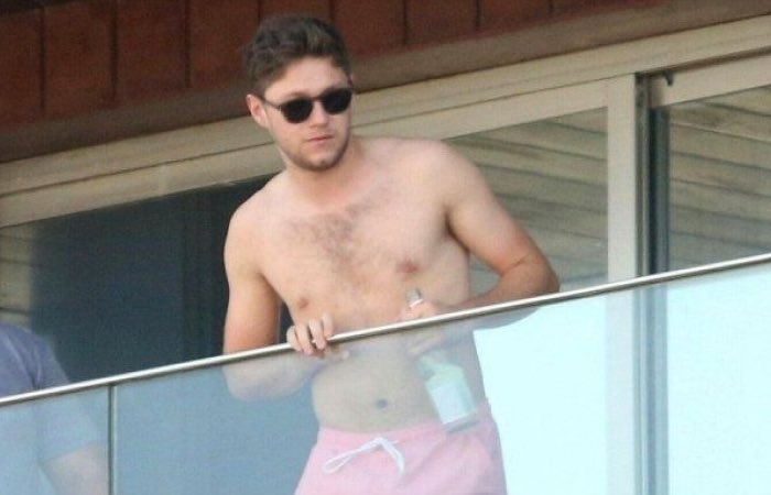 shirtless niall horan thirst traps;a much needed thread - ot5 