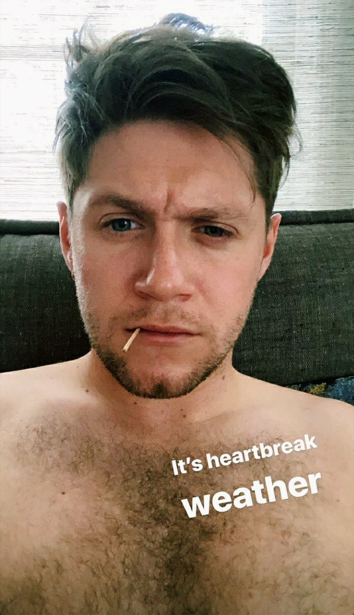 shirtless niall horan thirst traps;a much needed thread - ot5 