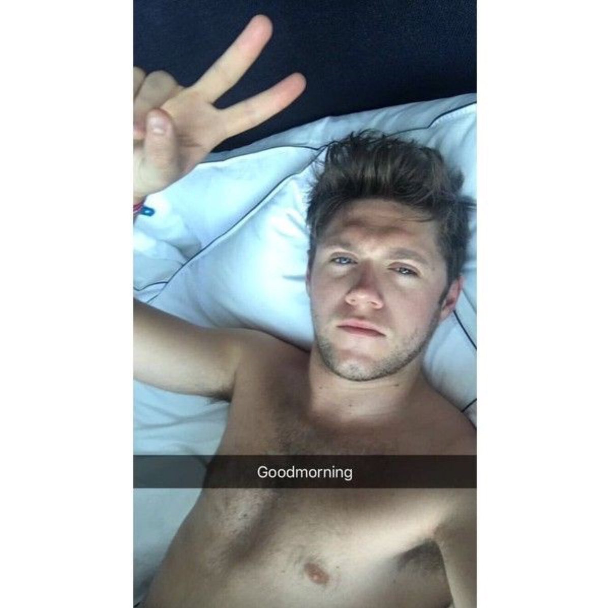 shirtless niall horan thirst traps;a much needed thread - ot5 