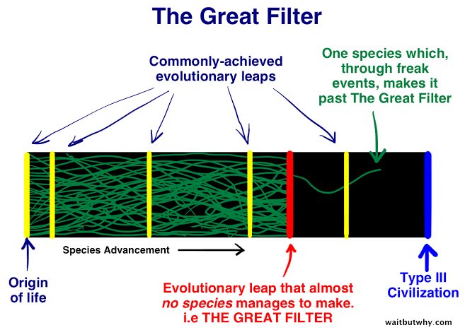 This is where the Great Filter comes in! The Great Filter is a situation or a problem that a species just cannot overcome; one that leads to their inevitable doom. If intelligent life or even life, for that matter, is quite rare then it means that the Great Filter is behind us.