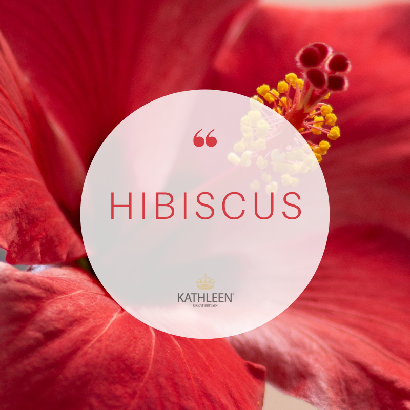 Not only can encourage #cellturnover, this Hibiscus does help with #agespots. 🌺
Did you know? #Hibiscus is one of the ingredients in Kathleen Natural Bright Mask. #facemask 😍
🛍️:  <a href="/Love_Lula/">LoveLula.com</a> or bit.ly/34e0OZ4
#vegan #naturalacid #syntheticfree @UKBloggersRT